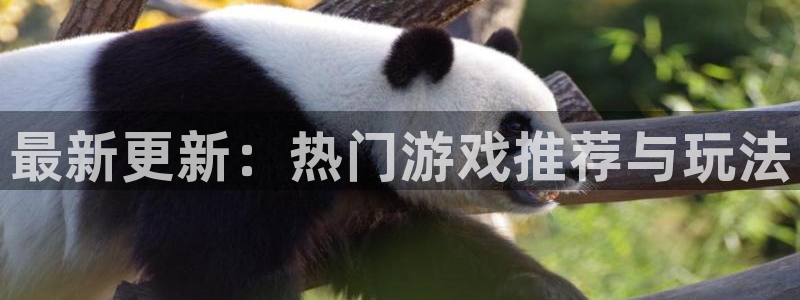 星欧娱乐测速：最新更新：热门游戏推荐与玩法