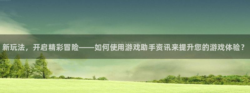 星欧娱乐网页版地址：新玩法，开启精彩冒险——如何使用游戏助手