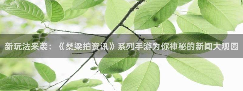 星欧娱乐注册地址：新玩法来袭：《桑梁拍资讯》系列手游为你神秘