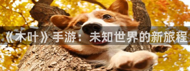 星欧娱乐注册官方登录app：《木叶》手游：未知世界的新旅程