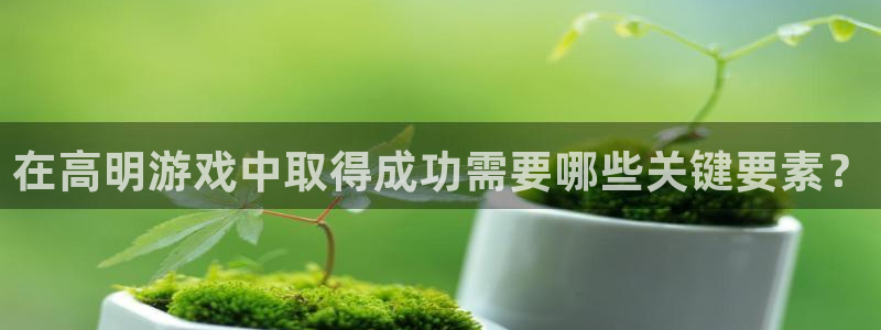 手机版星欧娱乐客户端下载：在高明游戏中取得成功需要哪些关键要