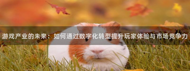 星欧娱乐官网app下载安装：游戏产业的未来：如何通过数字化转