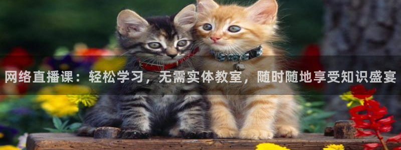 火凤直播足球免费观看