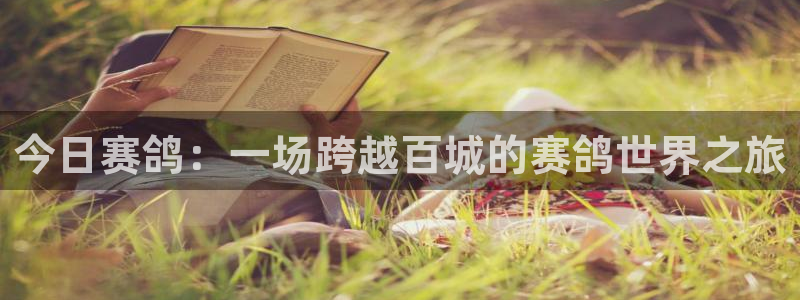 火凤直播体育官网入口在线观看：今日赛鸽：一场跨越百城的赛鸽世界之旅