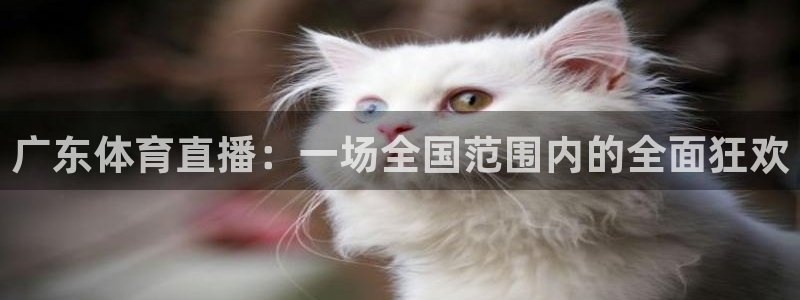 火凤直播体育app下载安装：广东体育直播：一场全国范围内的全面狂欢